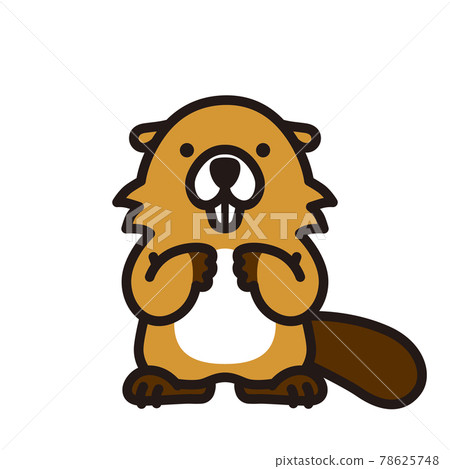 Beaver making a dam 78625748