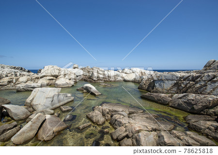 鹿兒島縣德之島的蘑菇上 鹿兒島縣德之島的蘑菇上 78625818
