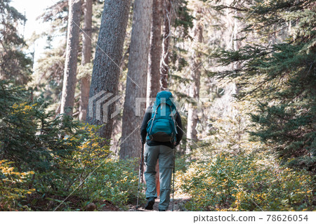 Hike in the forest 78626054