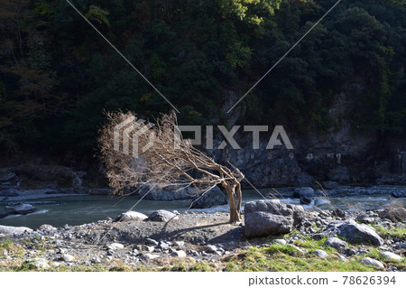 Damage of Typhoon No. 19 in Okutama / 2019 78626394