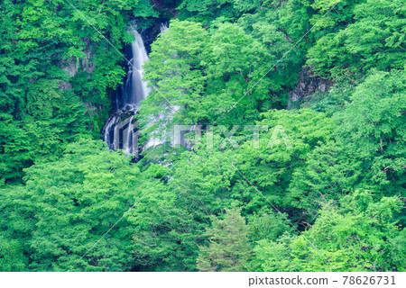 Kirifuri Falls [Nikko City, Tochigi Prefecture] 78626731