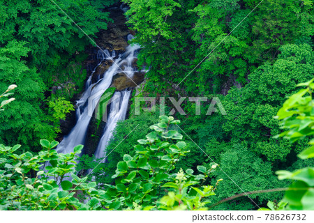Kirifuri Falls [Nikko City, Tochigi Prefecture] 78626732
