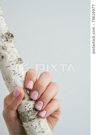 Closeup elegant pastel natural modern design manicure. Female hands holding Tree Trunk. Gel nails. Nude manicure. Beige color. Skin care. Beauty. Nail care Closeup elegant pastel natural modern design manicure. Female hands holding Tree Trunk. Gel nails. Nude manicure. Beige color. Skin care. Beauty. Nail care 78626977