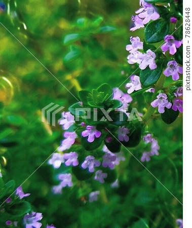 Flowers floating in the water Flowers floating in the water 78628448