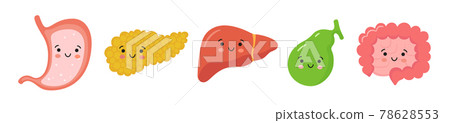 Organs of the gastrointestinal tract in kawaii style. Smiling stomach, pancreas, liver, gallbladder, small and large intestine characters. Vector isolated illustration in flat and cartoon style 78628553