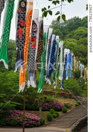 Carp streamer dancing in the park Carp streamer dancing in the park 78628907