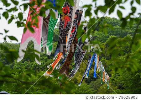 公園裡的鯉魚旗翩翩起舞 公園裡的鯉魚旗翩翩起舞 78628908