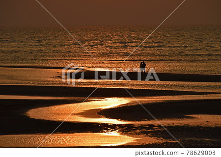 與tideland的日落風景 78629003