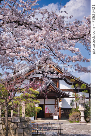 京都妙見寺 2021 年春季 京都妙見寺 2021 年春季 78629421