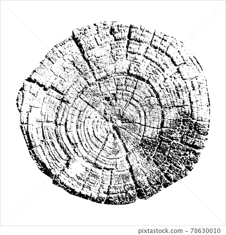 Tree growth rings. Natural cut wood. Vector illustration. Tree growth rings. Natural cut wood. Vector illustration. 78630010
