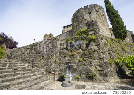 The castle of Gorizia 78630230