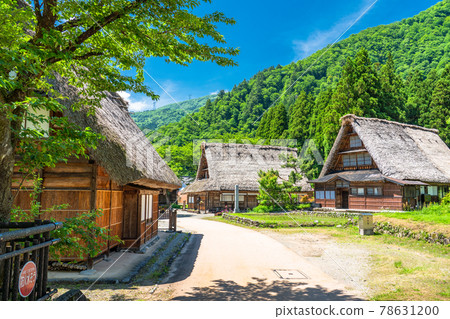 《Toyama Prefecture》 Suganuma Gassho-zukuri Village ・ Early summer rice planting season 78631200