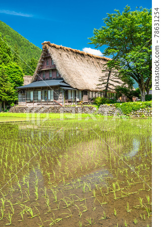 《Toyama Prefecture》 Suganuma Gassho-zukuri Village ・ Early summer rice planting season 《Toyama Prefecture》 Suganuma Gassho-zukuri Village ・ Early summer rice planting season 78631254