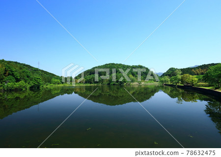 靜謐的平澤池 78632475