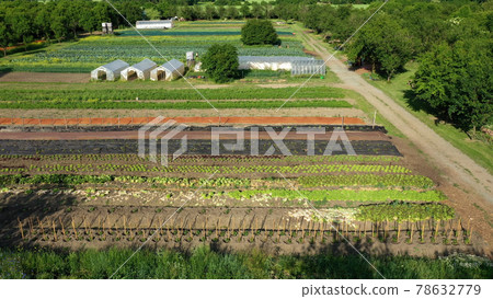 Bio farmer field farming vegetable agricultural farm garden plantation fruit tree dron aerial video shot leaf curly cabbage kale winter plant leaves organic plantation harvest vegetables, greenhouse Bio farmer field farming vegetable agricultural farm garden plantation fruit tree dron aerial video shot leaf curly cabbage kale winter plant leaves organic plantation harvest vegetables, greenhouse 78632779