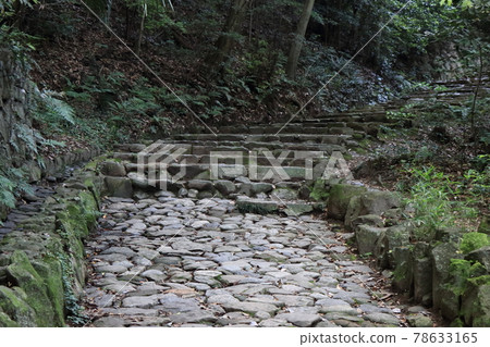 Matsuyama Castle Kurokamiguchi-no-Shiro Matsuyama Castle Kurokamiguchi-no-Shiro 78633165