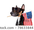 independence day 4th of july dog 78633844