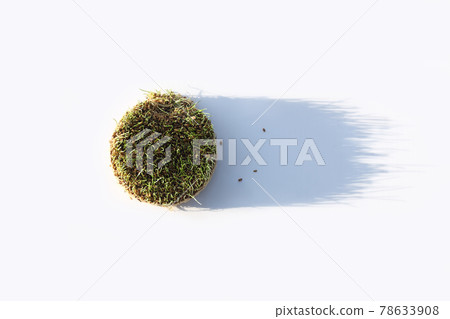 Fresh sprouted wheat grass with shadow on white background. Round heap of germinated wheat. Top view. Fresh sprouted wheat grass with shadow on white background. Round heap of germinated wheat. Top view. 78633908