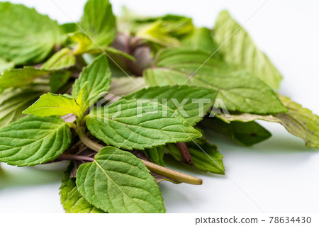 peppermint peppermint 78634430