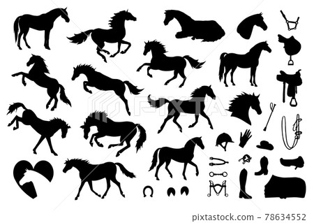 Vector set of horse and equestrian equipment 78634552