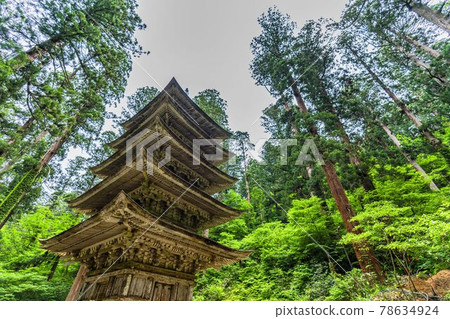 山形縣鶴岡市初夏的出羽三山神社五層寶塔和雪松大道 78634924