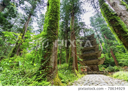 Dewasanzan Shrine in early summer, five-storied pagoda and cedar avenue, Tsuruoka City, Yamagata Prefecture Dewasanzan Shrine in early summer, five-storied pagoda and cedar avenue, Tsuruoka City, Yamagata Prefecture 78634929