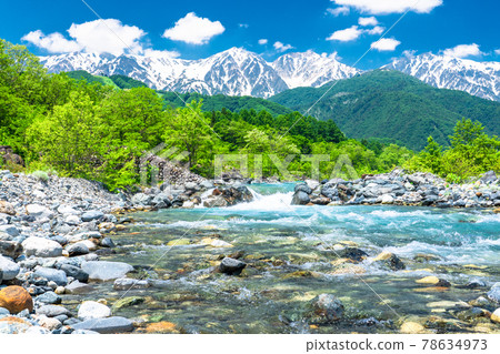 《Nagano Prefecture》 Hakuba Village/Clear stream in the Northern Alps 78634973