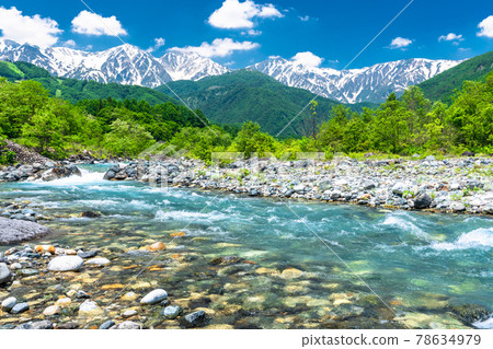 《Nagano Prefecture》 Hakuba Village/Clear stream in the Northern Alps 78634979