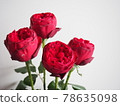 4 roses 78635098