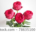 4 roses 78635100