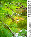 Fresh green and autumn leaves reflected in the pond 78635307