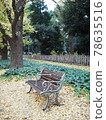 Bench and ginkgo tree 78635516