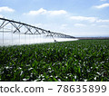 Smart Irrigation System for Farmers 78635899