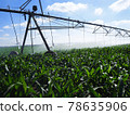 Automated Irrigation System for Farmers 78635906