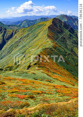明亮的秋葉,谷川山脈主脈脊線 明亮的秋葉,谷川山脈主脈脊線 78636118