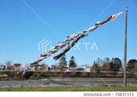 History Funagawa clear stream carp streamer (Taiki-cho, Hokkaido) 78637153