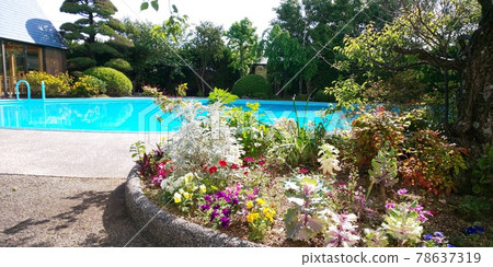 Flowerbed and pool 78637319