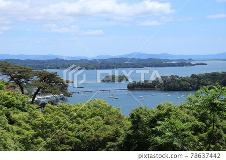 日本三景松島福浦島/福浦大橋 日本三景松島福浦島/福浦大橋 78637442