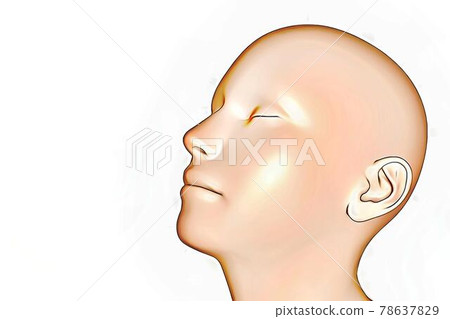 nose nose 78637829