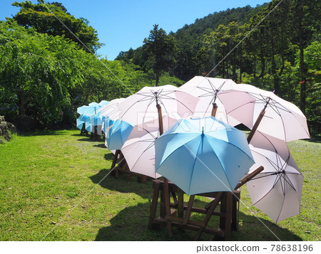 Shizuoka Prefecture Umbrella Art Hattasan June Shizuoka Prefecture Umbrella Art Hattasan June 78638196