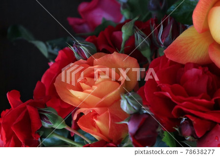 Shooting the rose darkly 78638277