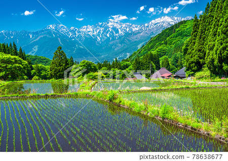 《長野縣》日本原景，初夏的藍妖村 78638677
