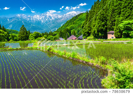 《Nagano Prefecture》 Original scenery of Japan, blue demon village in early summer 《Nagano Prefecture》 Original scenery of Japan, blue demon village in early summer 78638679