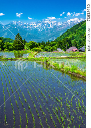 《Nagano Prefecture》 Original scenery of Japan, blue demon village in early summer 78638680