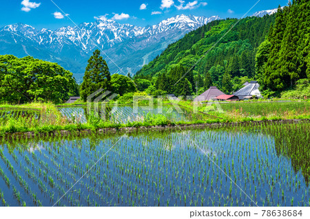 《Nagano Prefecture》 Original scenery of Japan, blue demon village in early summer 78638684
