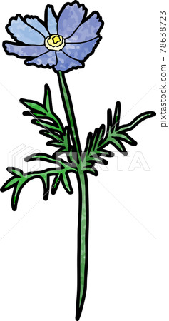 波斯菊（藍色） 78638723