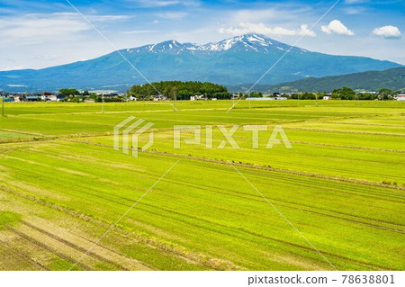 Mt Chokai Dewa Fuji And Fallow Fields In Stock Photo