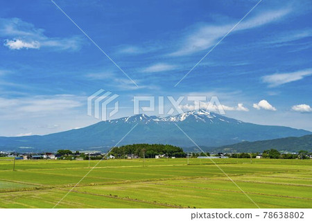 Mt. Chokai (Dewa Fuji) and fallow fields in early summer Sakata City, Yamagata Prefecture 78638802