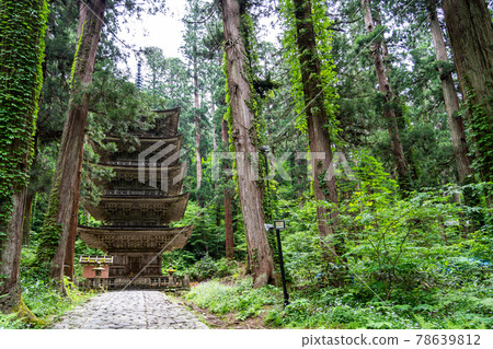Dewasanzan Shrine in early summer, five-storied pagoda and cedar avenue, Tsuruoka City, Yamagata Prefecture Dewasanzan Shrine in early summer, five-storied pagoda and cedar avenue, Tsuruoka City, Yamagata Prefecture 78639812