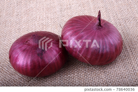 Cipollini onion (Italian pearl onion) on bagging Cipollini onion (Italian pearl onion) on bagging 78640036
